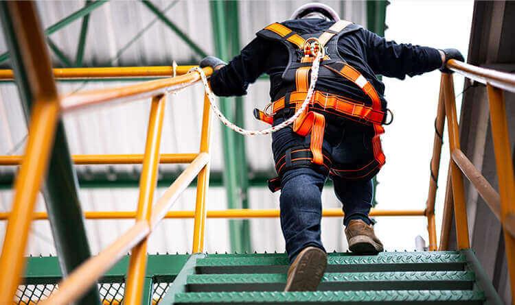 Oil & Gas Exploration